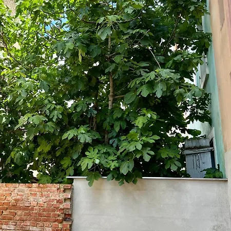 Apartment Rs-4 Dans Les Combles 1 Pers - 4eme Etage *